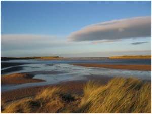 Lagoon and dunes at Loch of Strathbeg