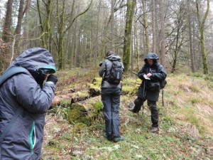 Bryophytes survey 