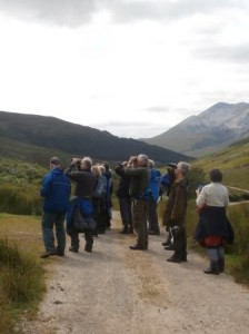 We were lucky to have trainers from the BTO up to Kinlochewe to introduce the What's Up upland bird project.  Upland birds are woefully under-recorded- we know species such as the ring ouzel are declining but by how much?