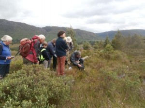 Duncan Donald is the plant recorder for Wester Ross.  A short walk from the road showed us what a rich flora Beinn EIghe has, how it has been recorded and why it's important to record what's around us.