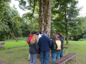 Looking for bryophytes at Plean Country Park