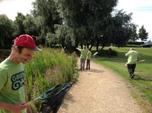 Sweeping for bugs at Auchinlea Park