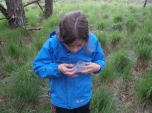 Bug hunting with Kinlochewe Wildlife Watch group