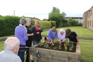 planting the herb garden. photo Linda Stewart, Cairn housing 3