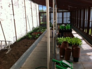 wesley greenhouse 2
