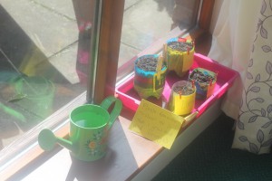 The finished gardens on a sunny windowsill