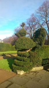 Unique topiary in Saughton Park