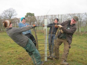 Tree planting with  TCV Wild Crew and staff & volunteers from Scotney Castle