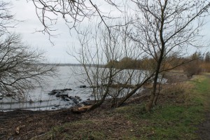Looking out onto Lough Neagh, an important wetland area for NI