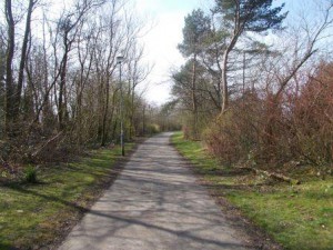 Tree lined paths form the backbone of Cumbernauld's green network