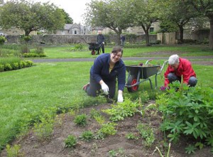 Gardening with the Friends of Starbank Park