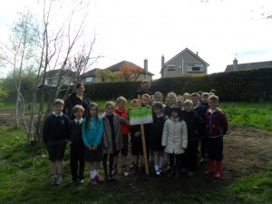 Meadow sowing with Nether Currie Primary