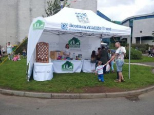 This year's set up for Cumbernauld Gala day