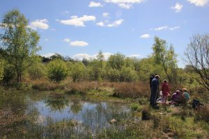 20160514_Ravenswood LNR_Discover_guided walk and pond dipping (42) small