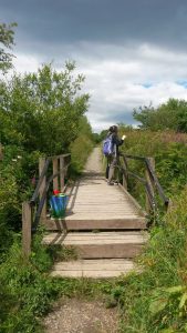 Helping to clear bridges for Green Health