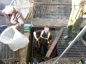 This is the fish trap, and shows the unfortunate height of fish handling. 