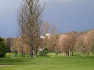 Parkland on Knock Golf Course.