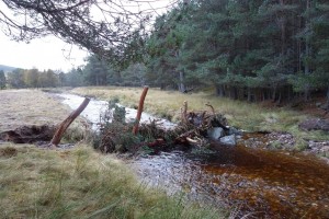 Log jam slowing water on a Channelised River (Allt Lorgie)