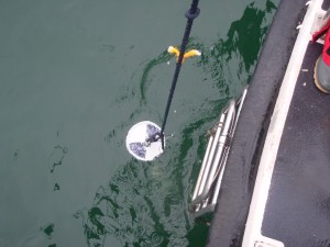 This is the secchie disk being lowered into the water to measure the turbidity of the water.