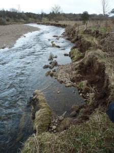 Bank erosion on the Bowmont River when the Filtrexx bank protection ends