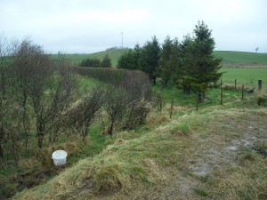 Hedge perpendicular to river "leaky barrier"