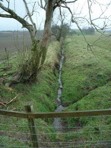 A drainage ditch
