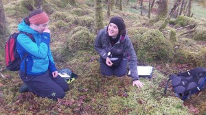 Surveying woodland floor bryophytes with fellow bryophyte enthusiast Janet MacLean (left).