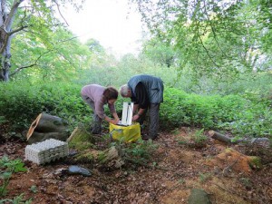 John McClean and I setting up a heath trap at Blackwood Golf Course