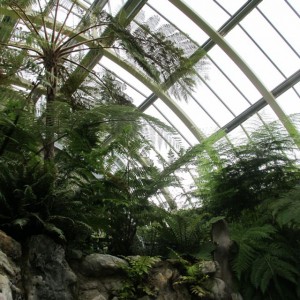 Victorian Fernery at Benmore Botanic Garden.