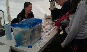 Enthusing about zooplankton!