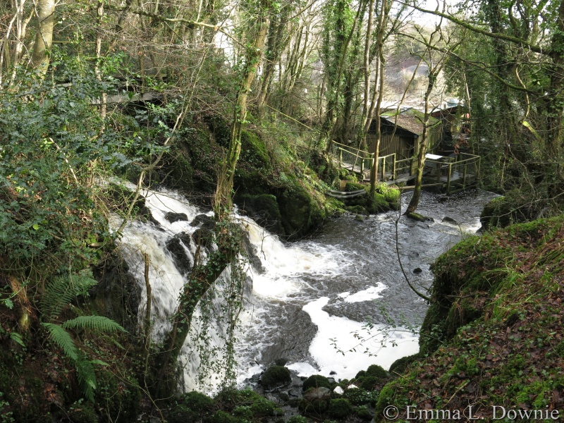 The Ballinderry River's Trust offices and hatchery at the bottom of the glen