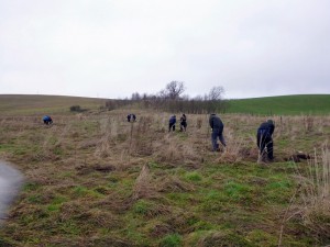Creating a flood friendly orchard