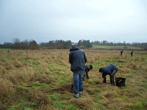NFM Vols. planting the last couple of trees