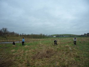 NFM Volunteers planting the first row