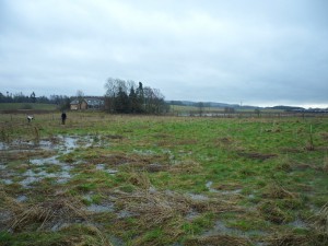The large puddle/saturated ground in the middle of the rows