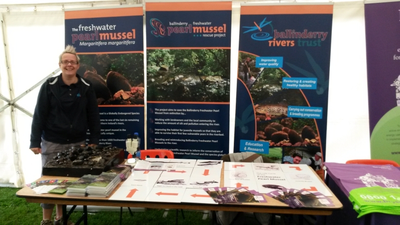 Lisa at our stall at Belfast Zoo's Native Species Fair