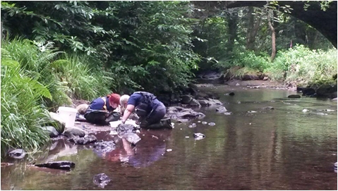 Looking through an invert sample with Lisa at one of our prettiest electrofishing sites.