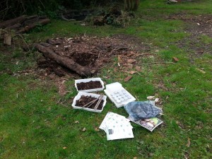My bug hunt set-up at TCV Tree Life Centre Open Day