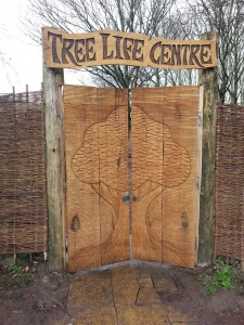 TCV Tree Life Centre, Kingswood, Bristol 