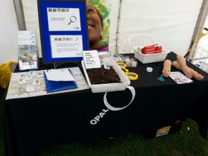 OPAL earthworm stand at Go Wild!