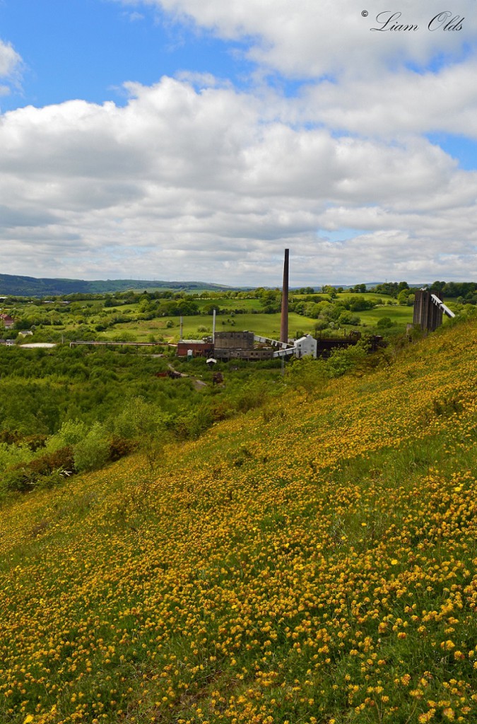 Cwm Colliery, Beddau (©LiamOlds)