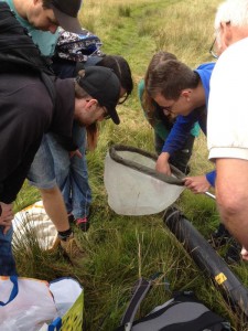TCV Training Day - demonstrating use of sweep netting as a method of surveying grassland invertebrates 