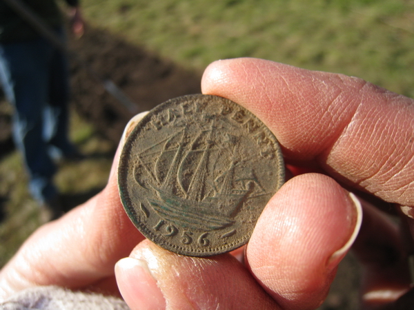 Tony finds a h'penny from 1956