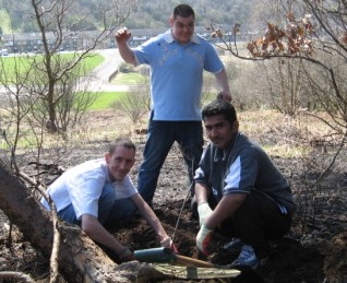 digging out oak tree (mod).jpg