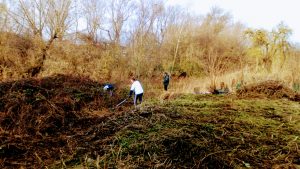 Volunteers at work clearing back scrub land for a hazel coppice