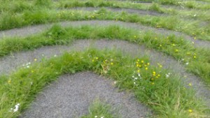 Summery meadowy labyrinth blog