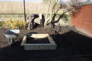 Beginnings of a raised bed.