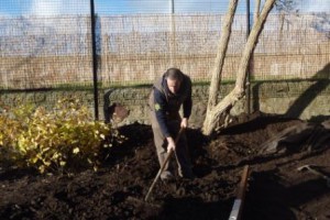 Levelling of ground ready for raised beds.