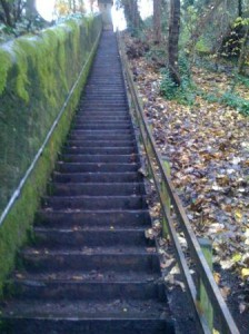 Nice clear steps - it's a very long way up!