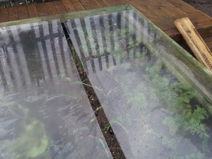 Plastic roofing for raised beds